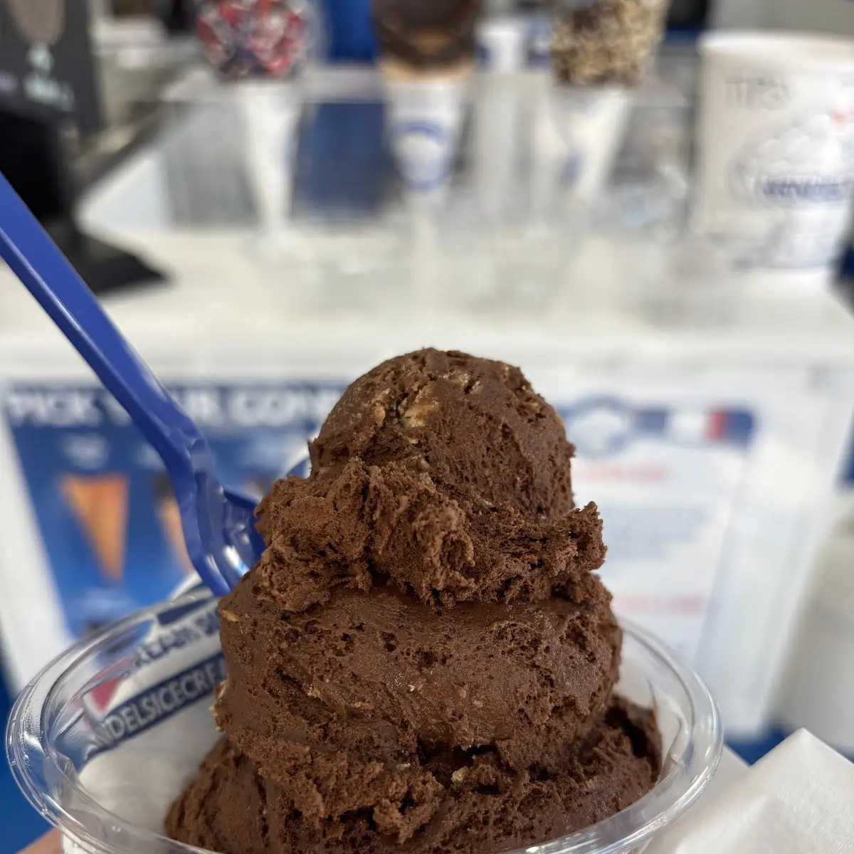 Chocolate Peanut Butter Ripple
