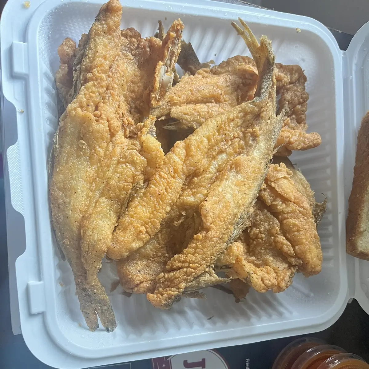 Lake Trout