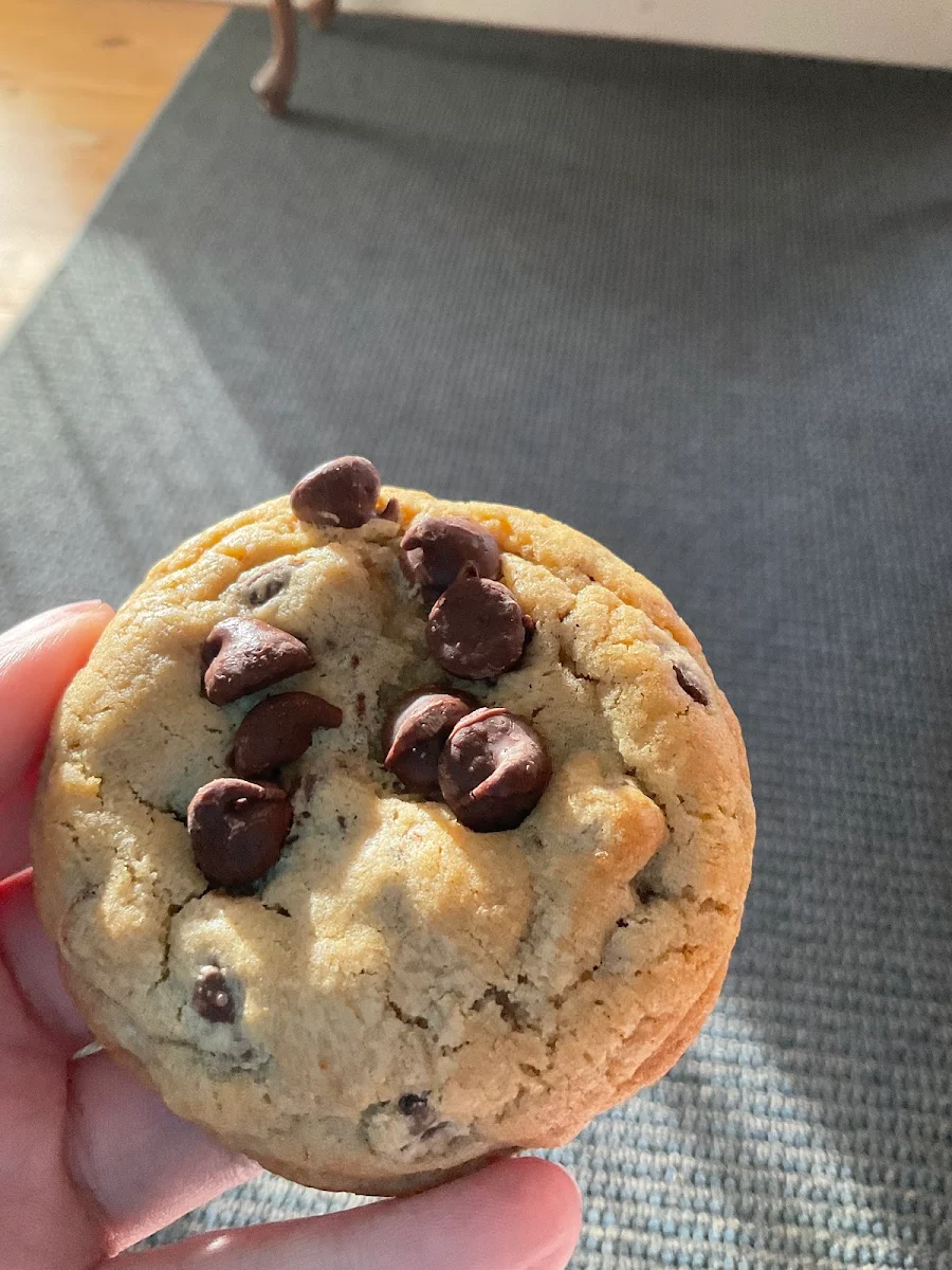 Chocolate Chip