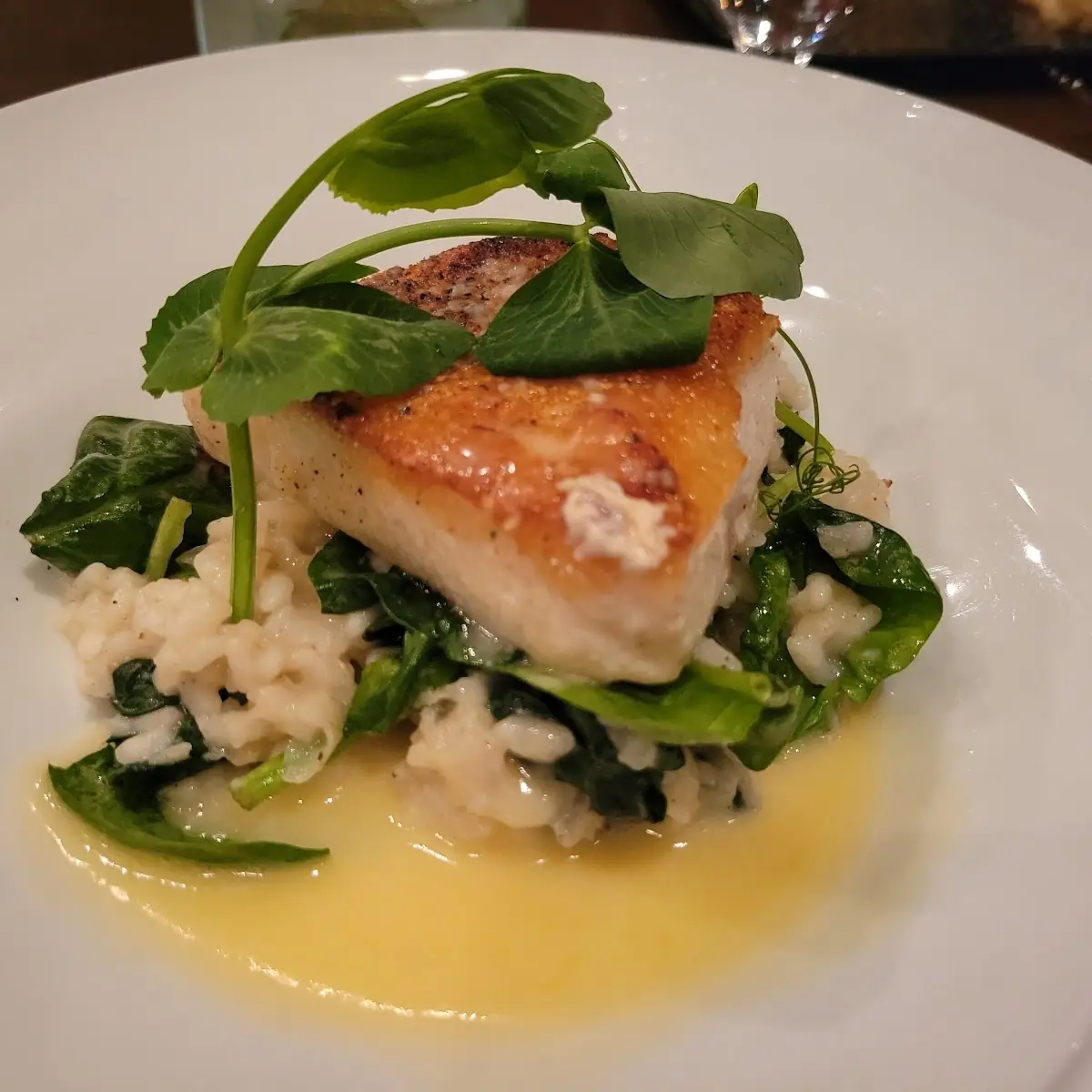 Chilean Sea Bass