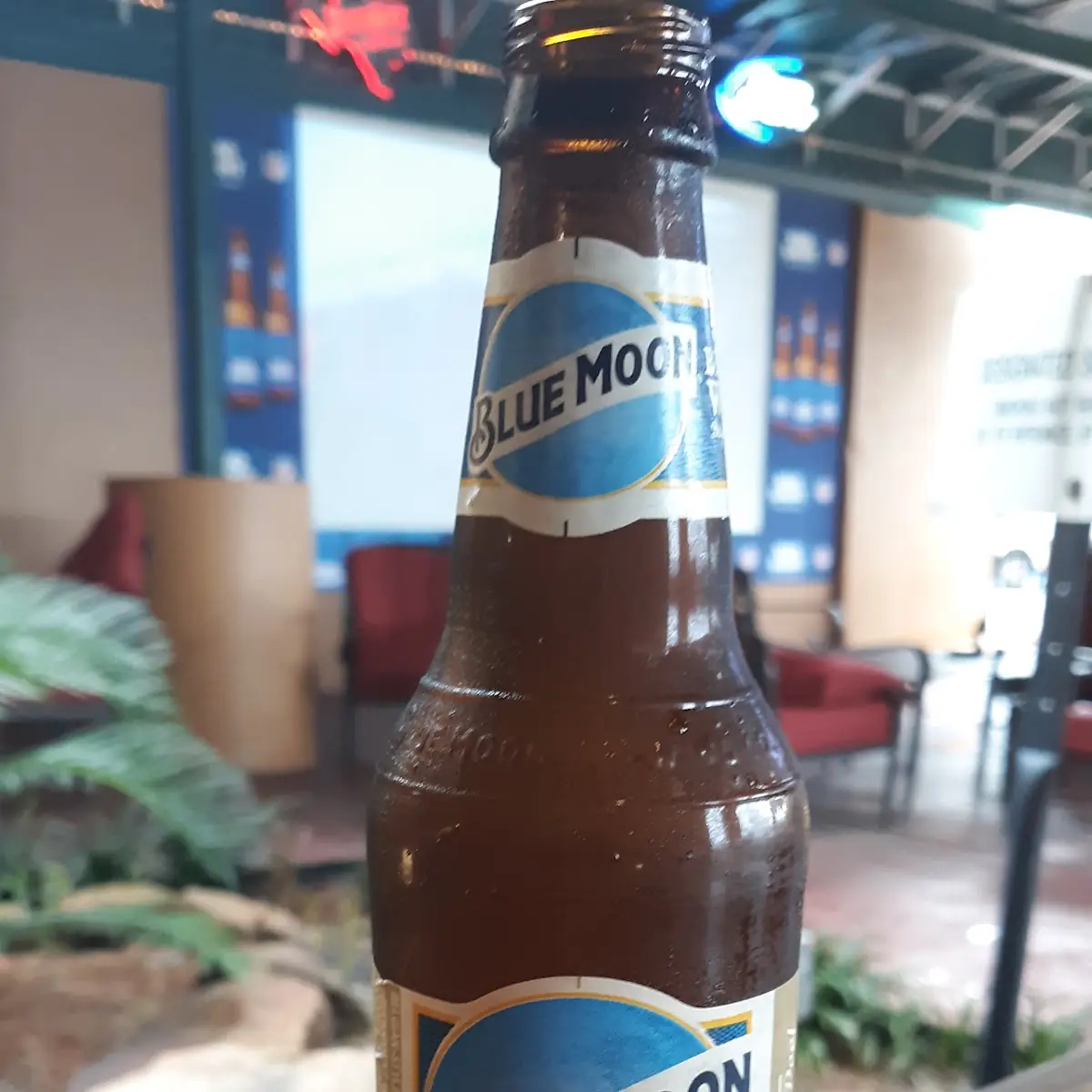Blue Moon Belgian White