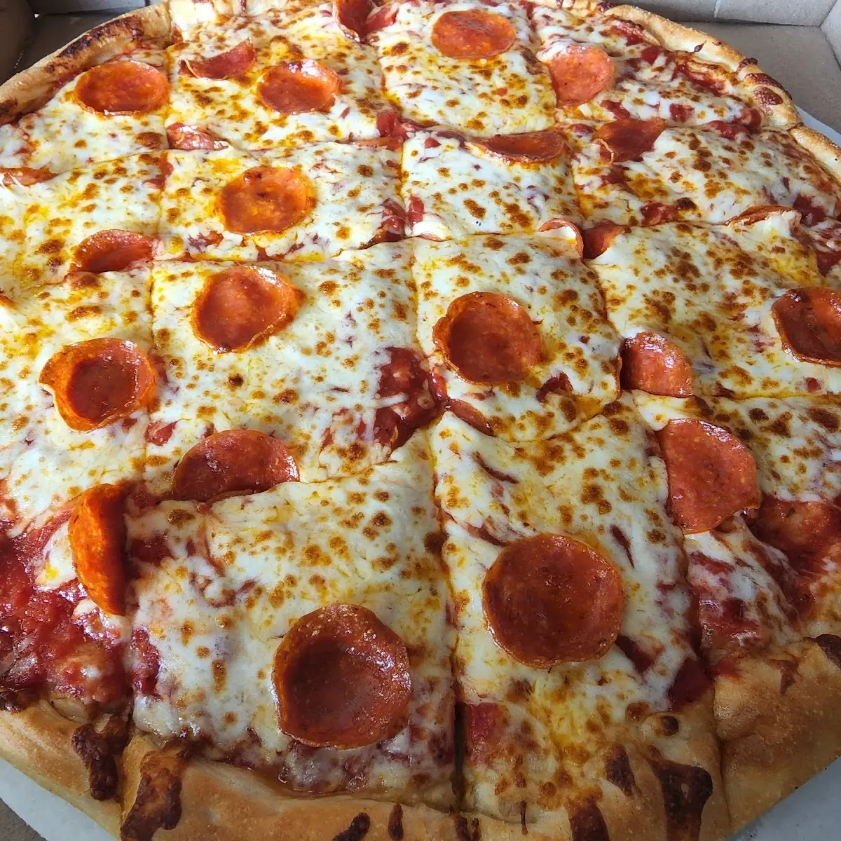 Pepperoni Pizza with Melted Cheese