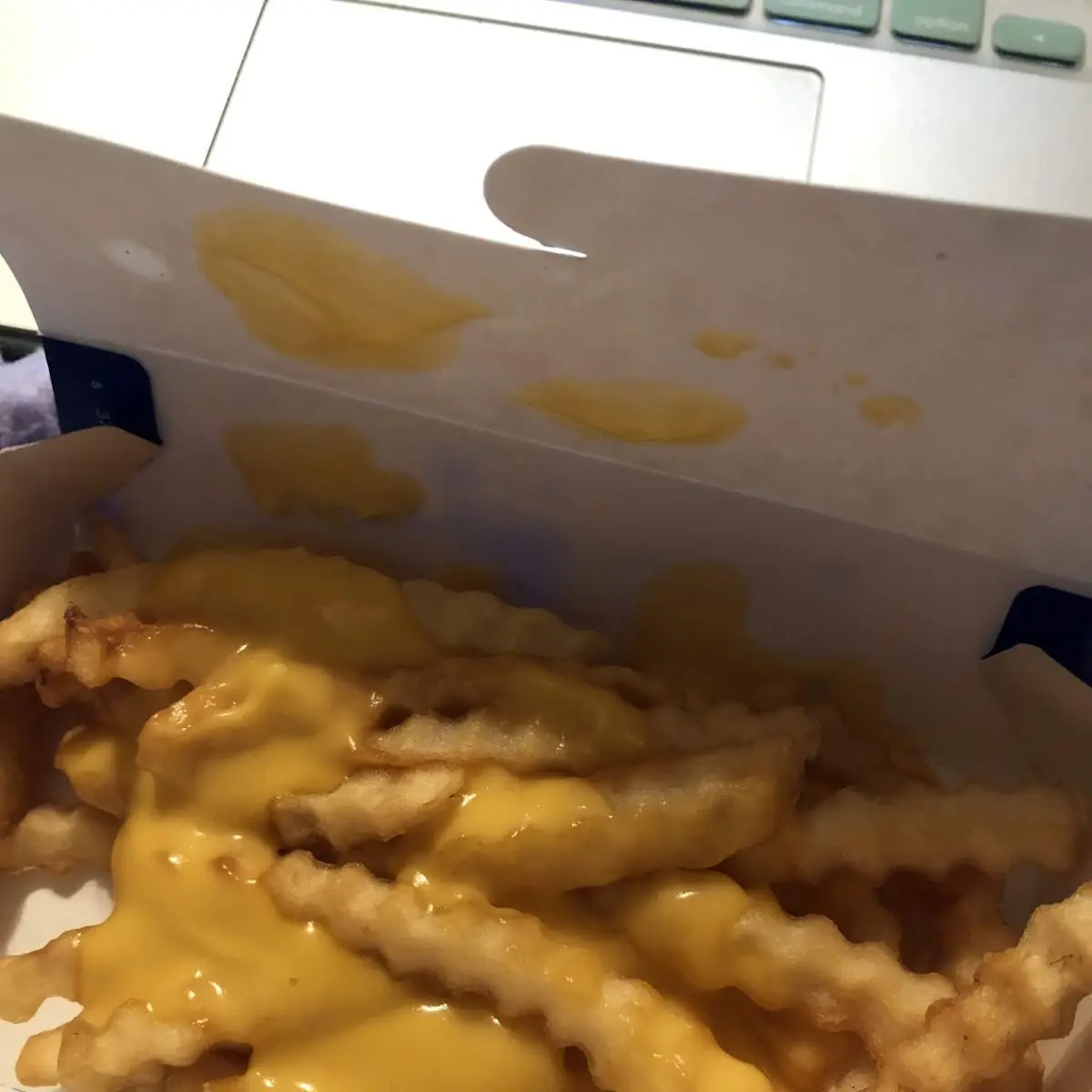 Cheese Fries