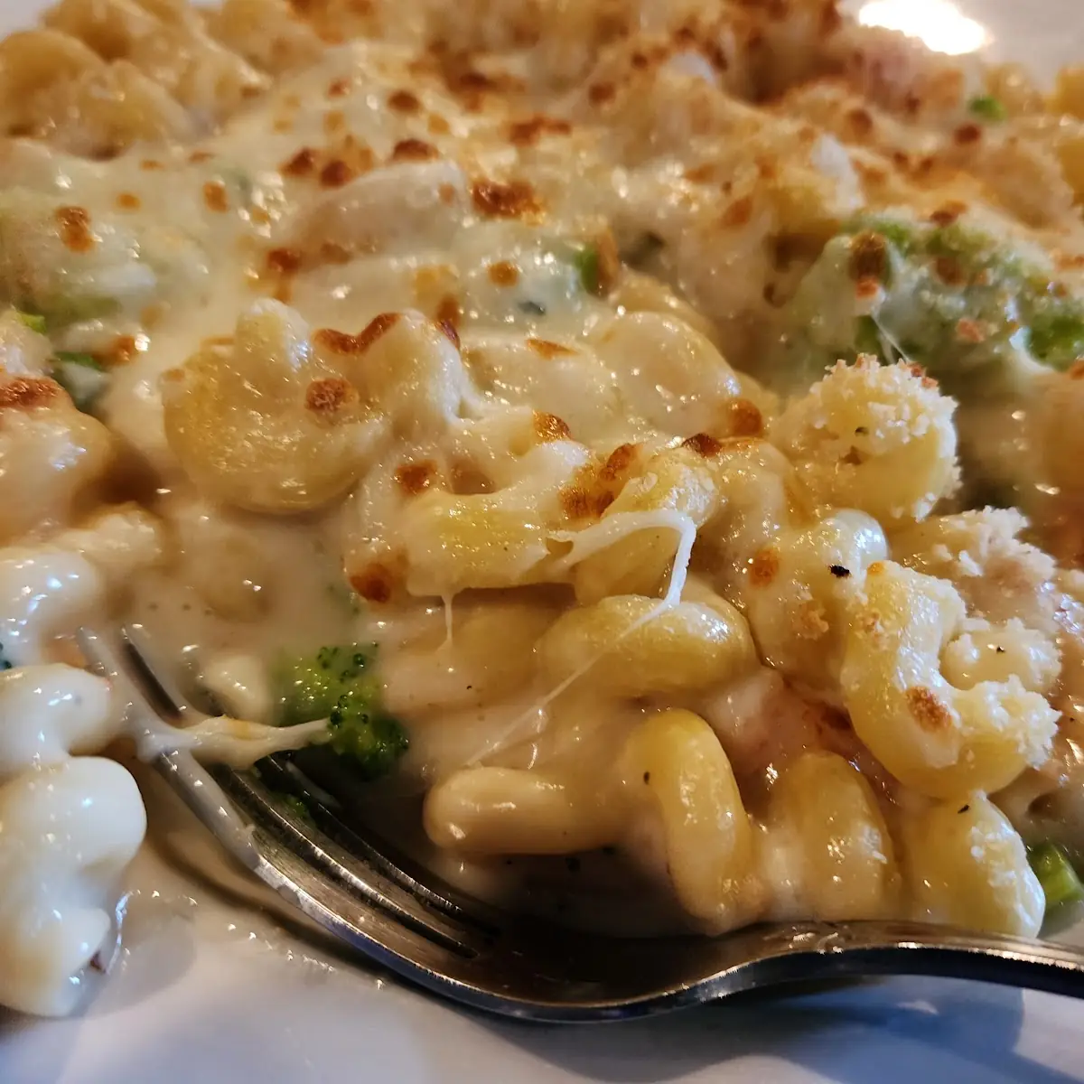 Bacon Jalapeno White Cheddar Mac