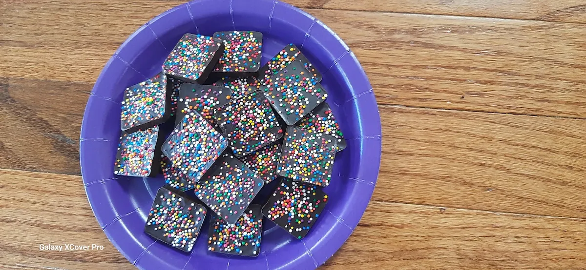 Solid Dark Chocolate Squares