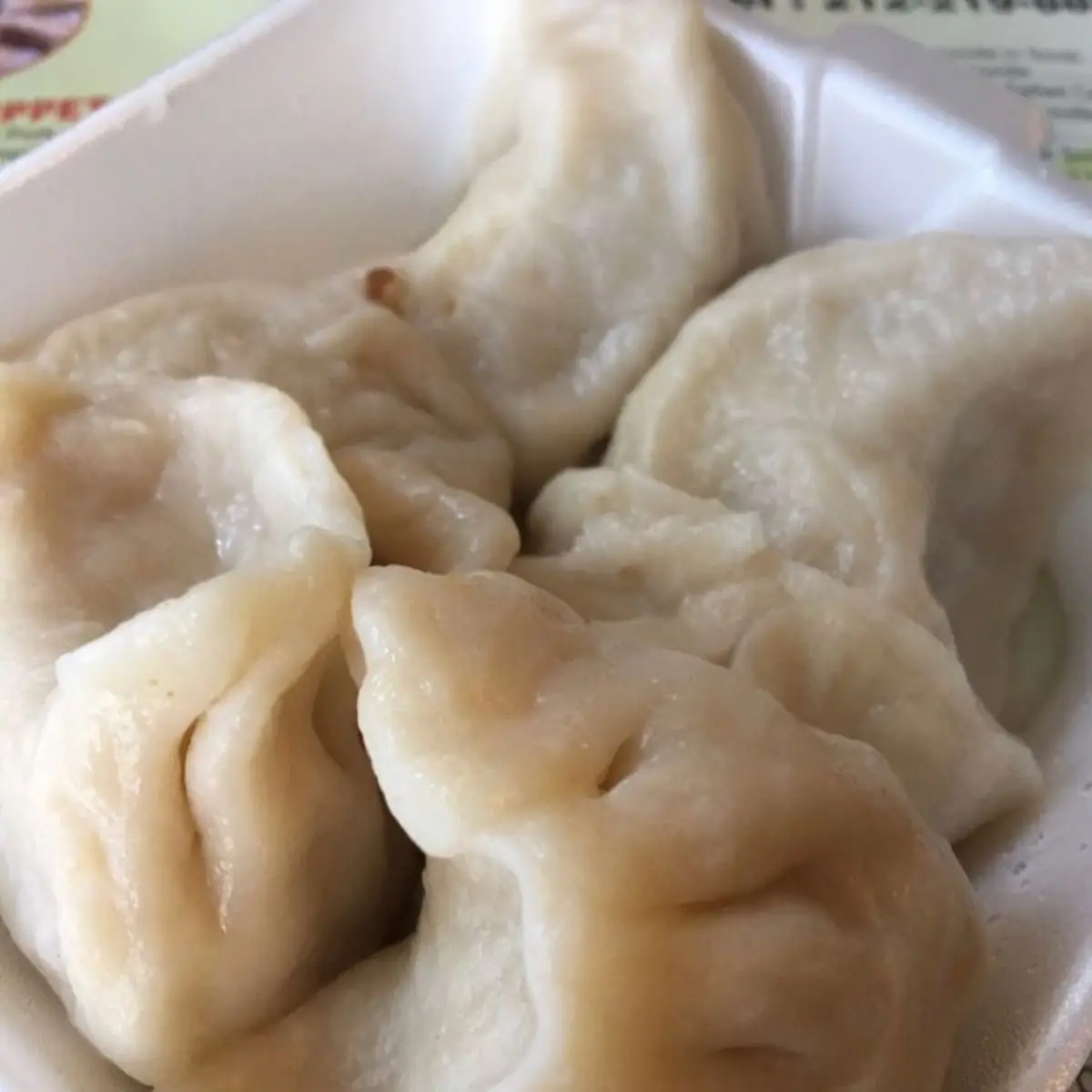 Steamed or Fried Dumplings