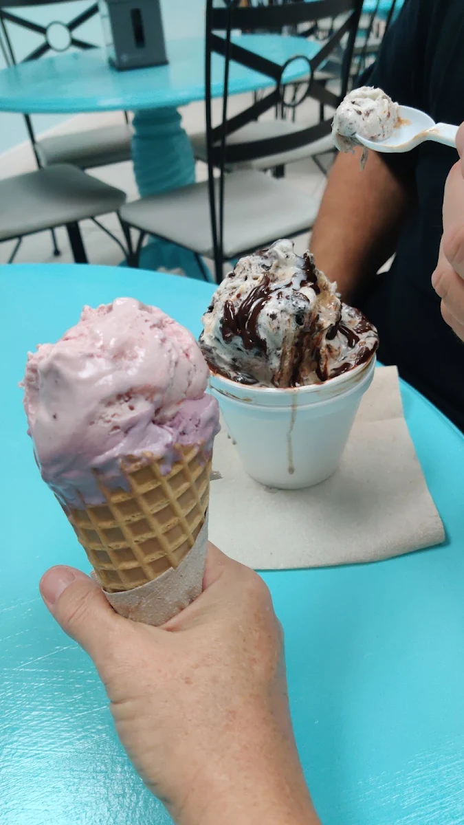Strawberry Black Raspberry Waffle Cone Plus Elephant Ear Fudge Sundae