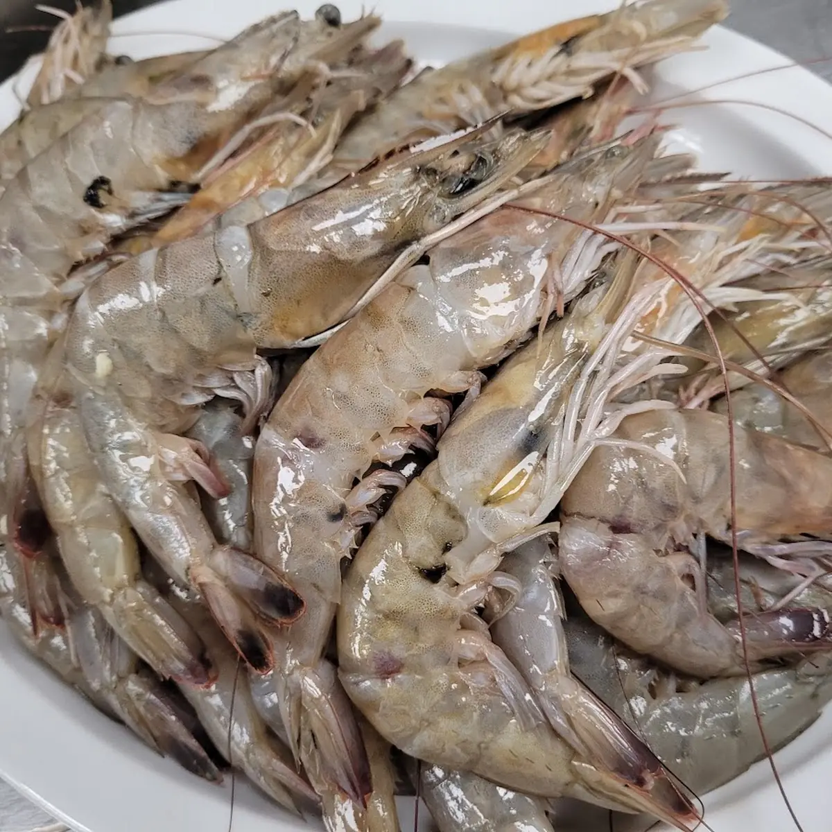 Peel & Eat Shrimp