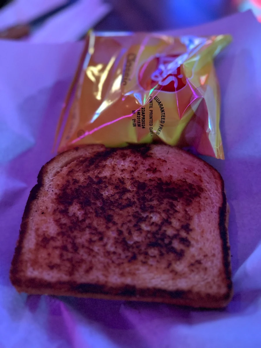 Grilled Cheese Sandwich and Chips