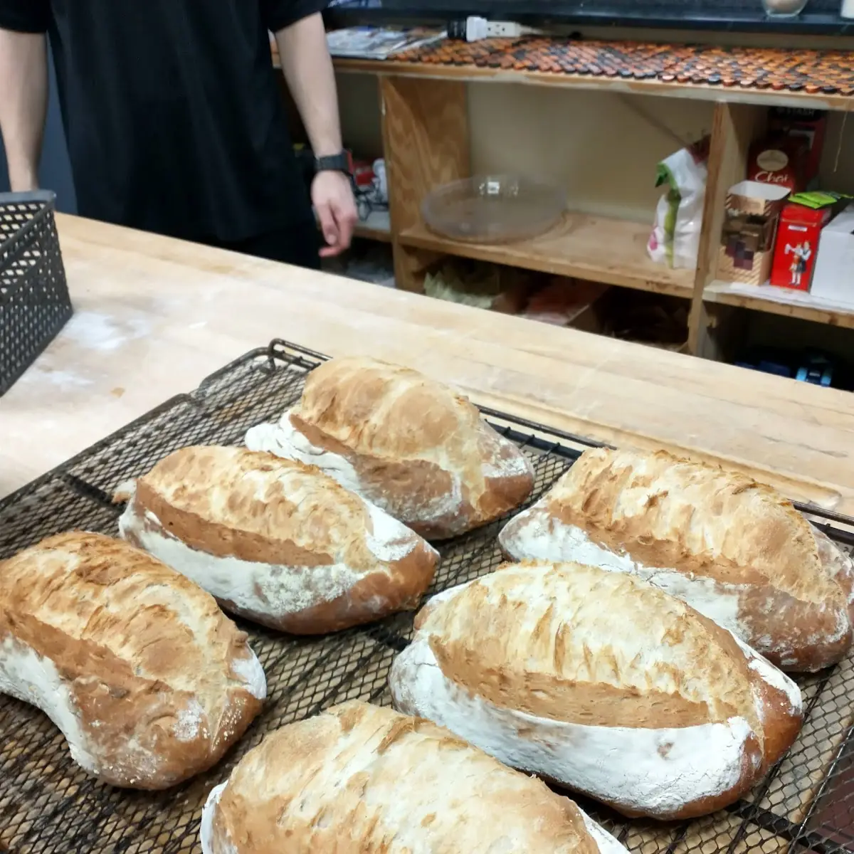 Sour Dough Bread