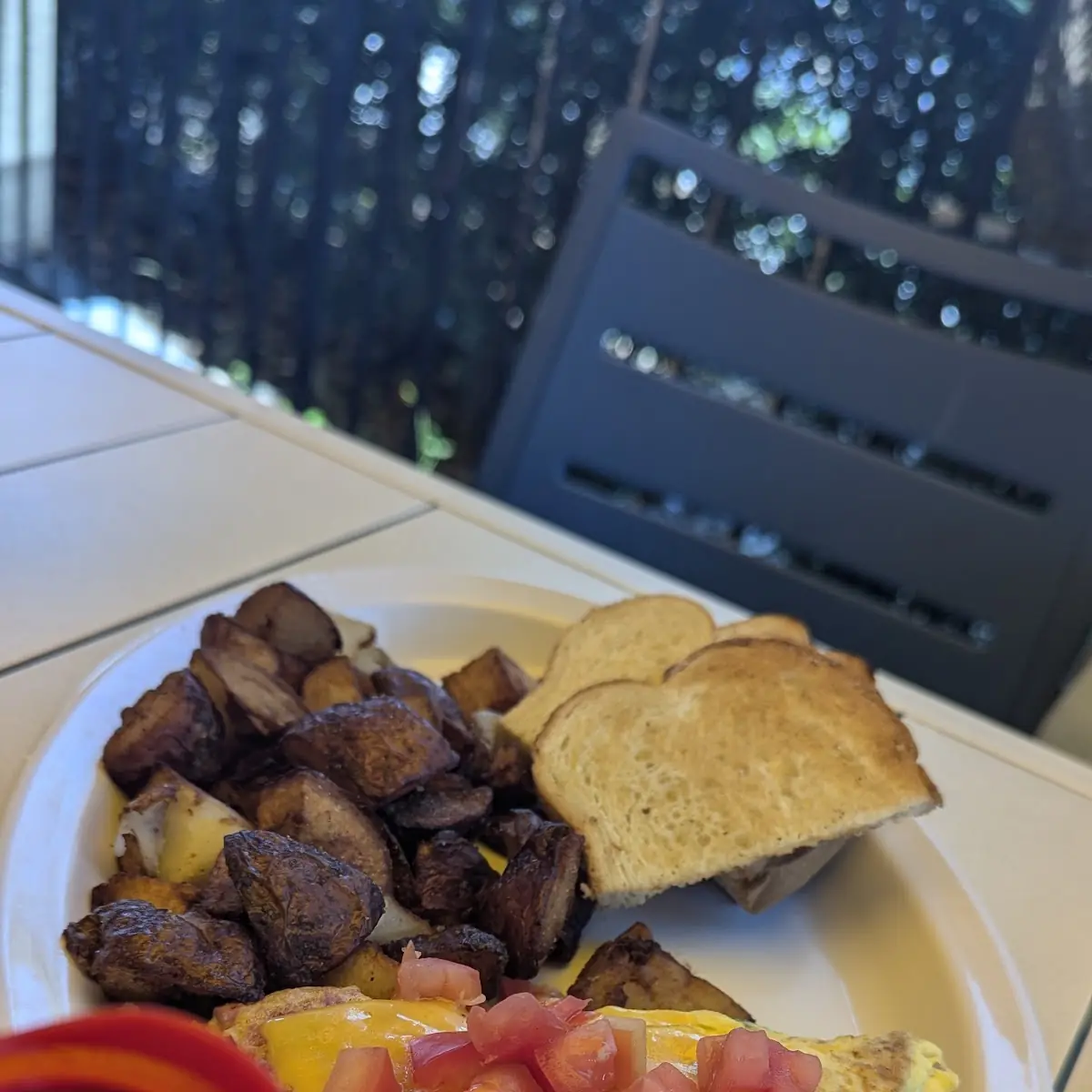 Western Omelette