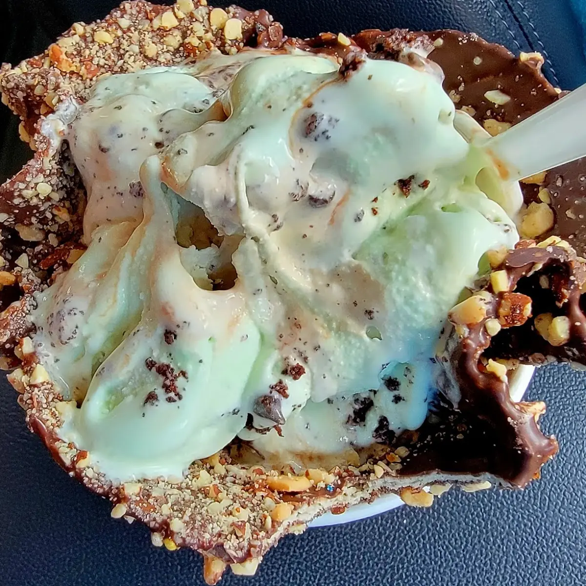 Mint Mint Chocolate Chocolate Chip