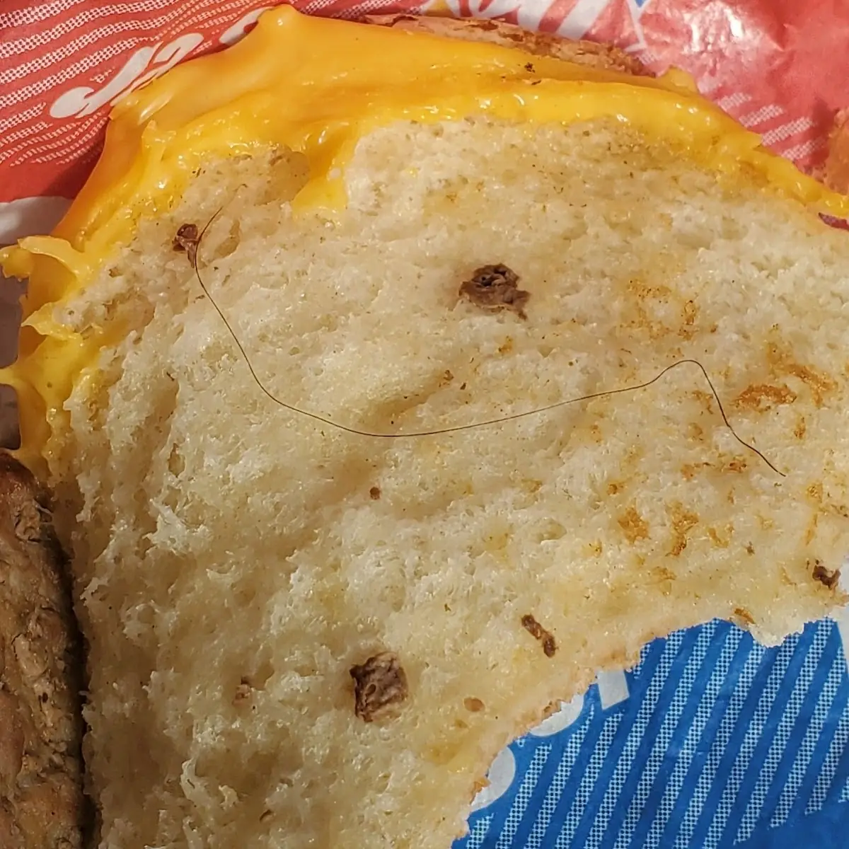 Hair in Cheeseburger