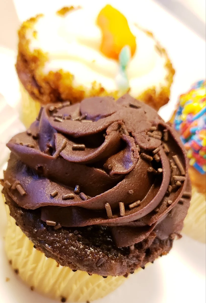 Chocolate Chocolate Chip Cupcake