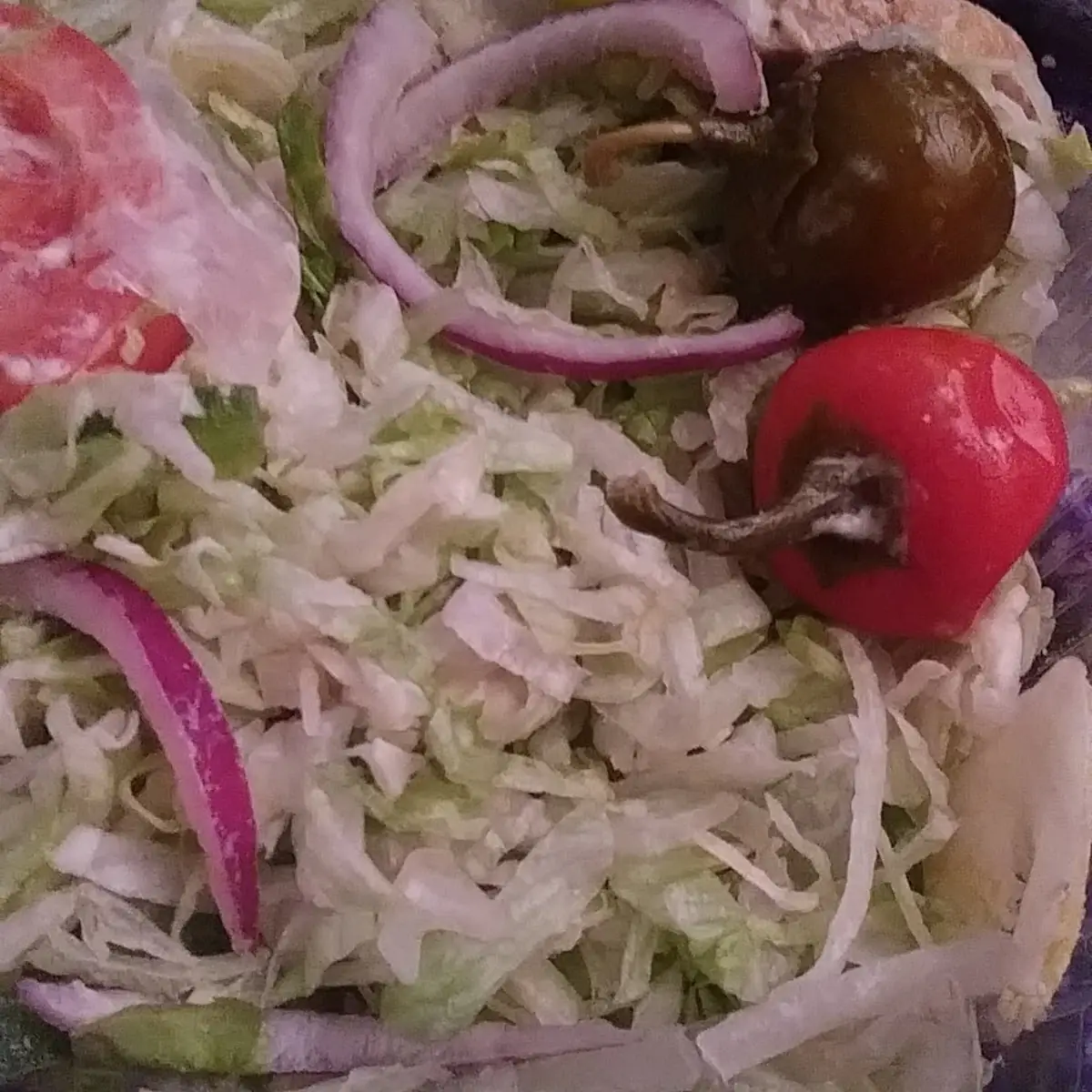 A Salad More Like Shreded Lettuce