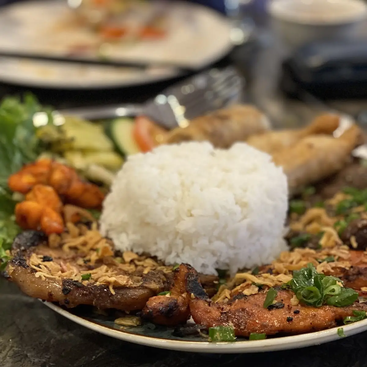 Rice Meat Sample Plate