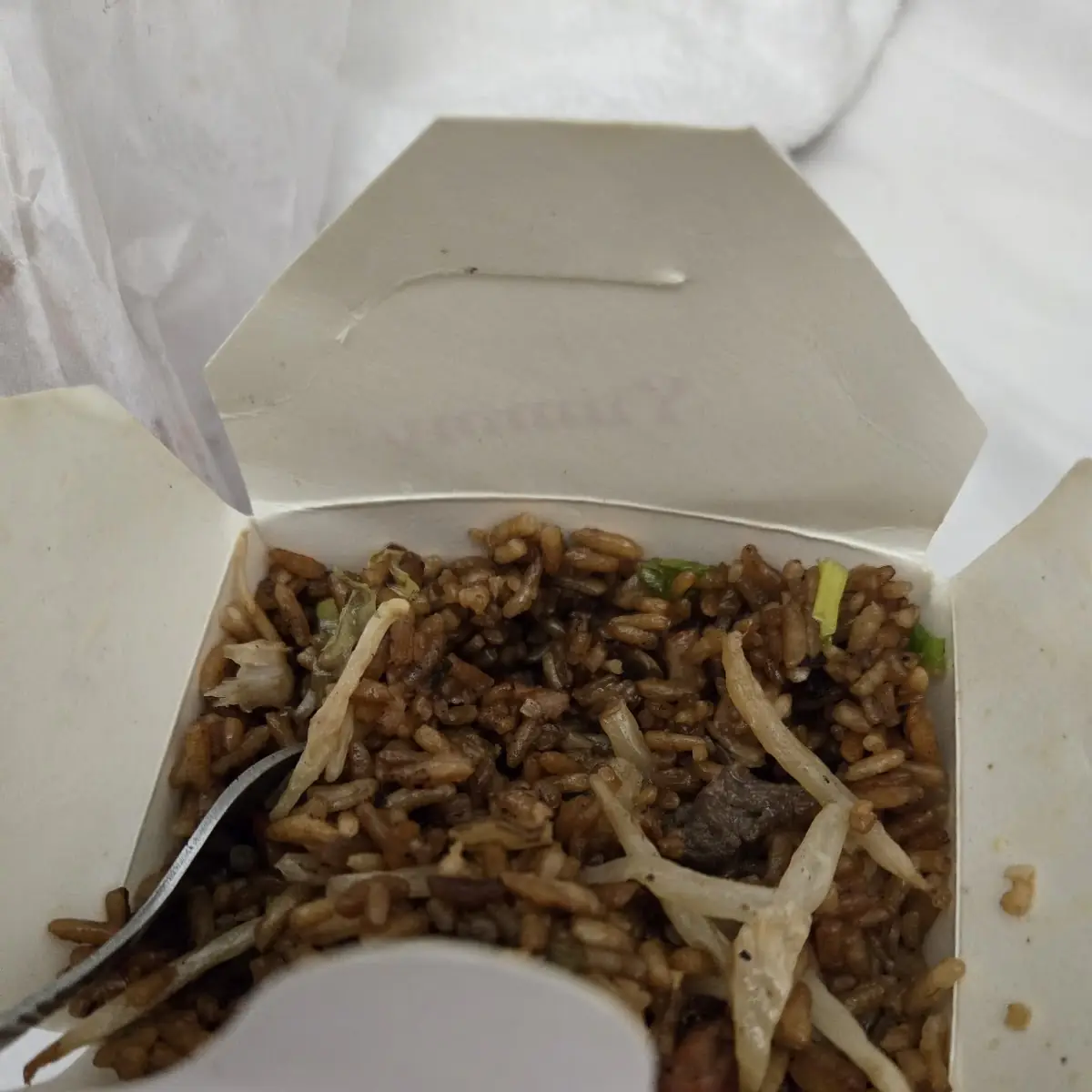 Special Fried Rice