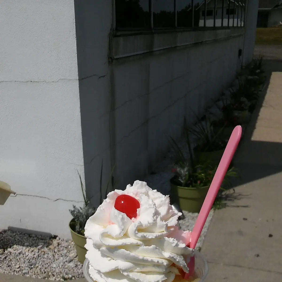 Old Fashioned Vanilla Bean