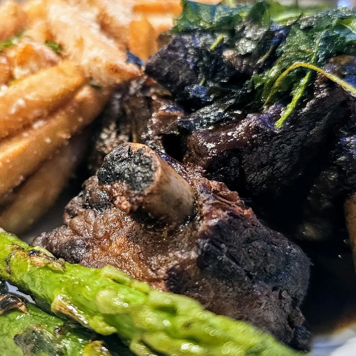 Bison Short Ribs
