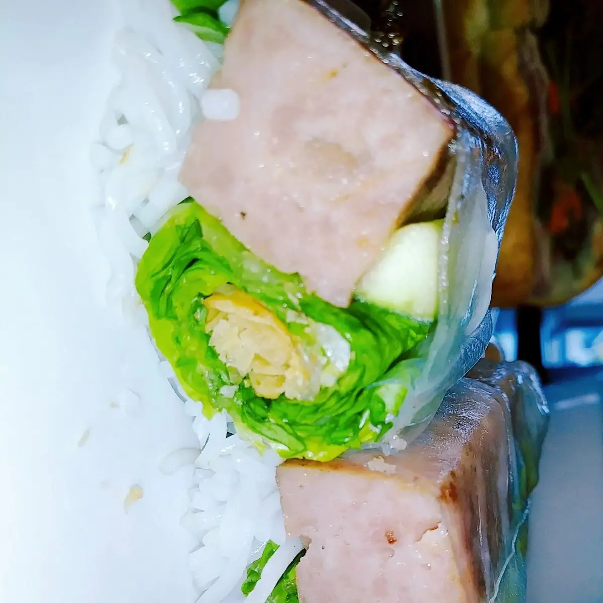Pork Spring Rolls