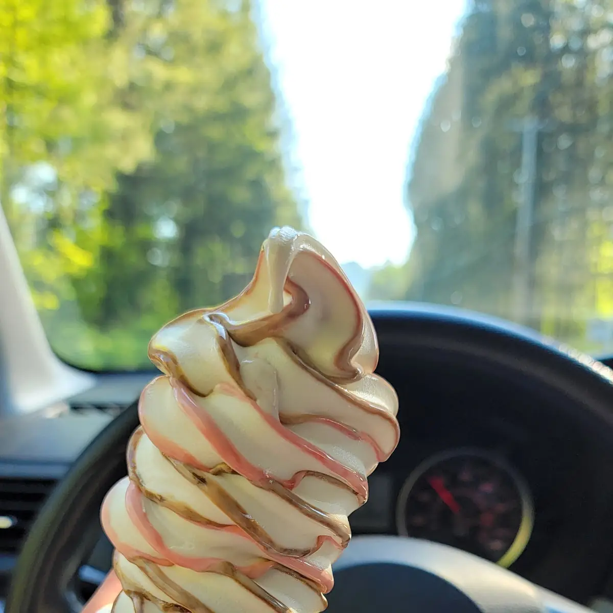 Strawberry & Chocolate Ice Cream