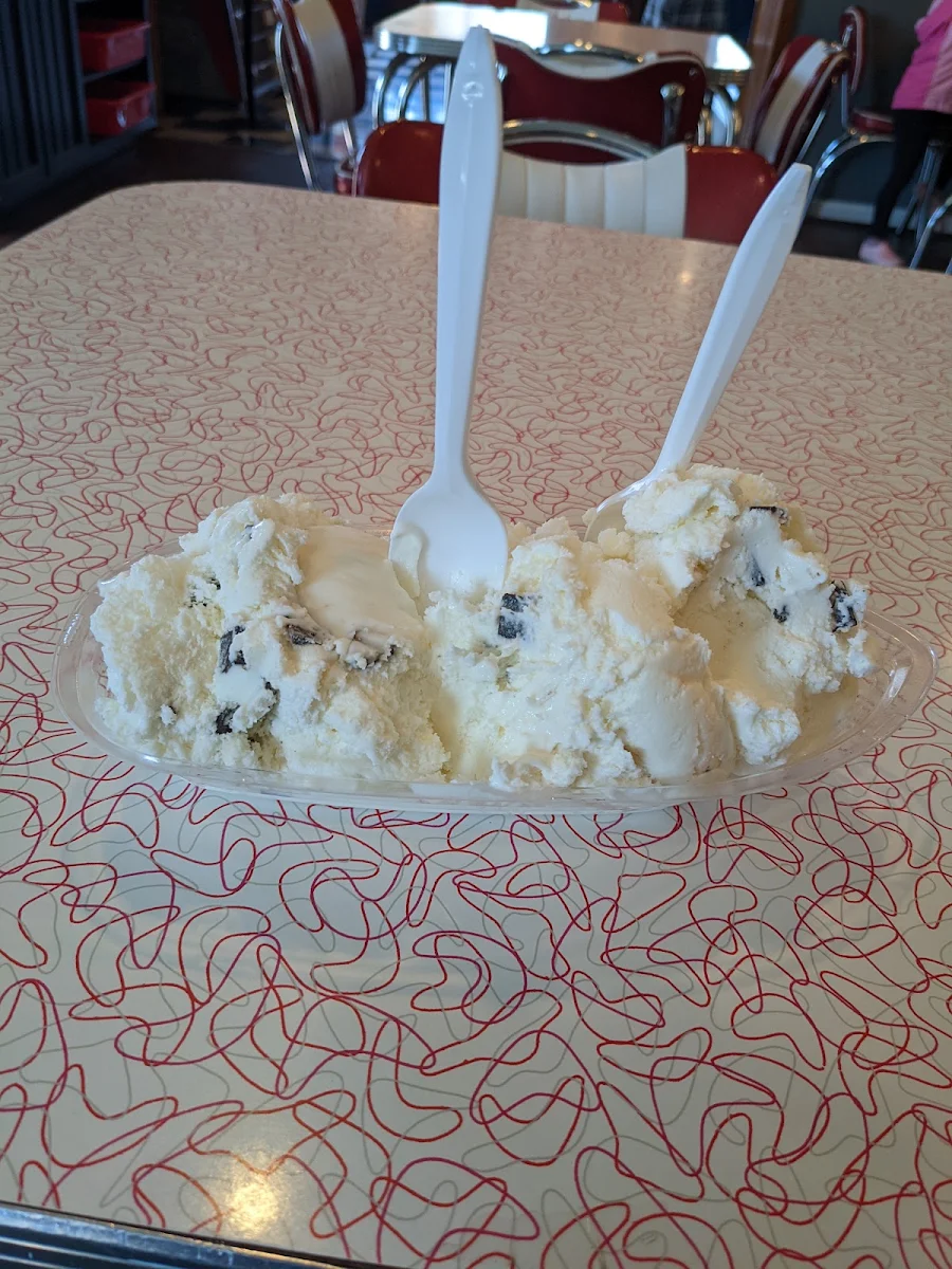 Mint Chocolate Chip Ice Cream