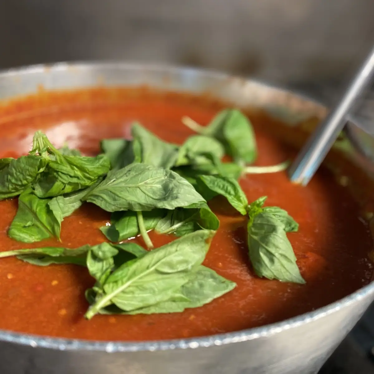 Tomato Basil Soup