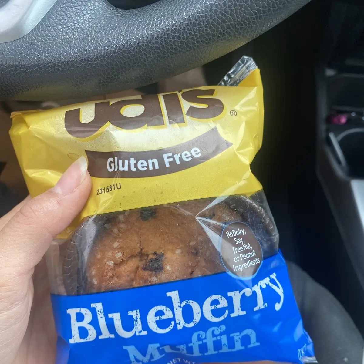 Blueberry Muffin