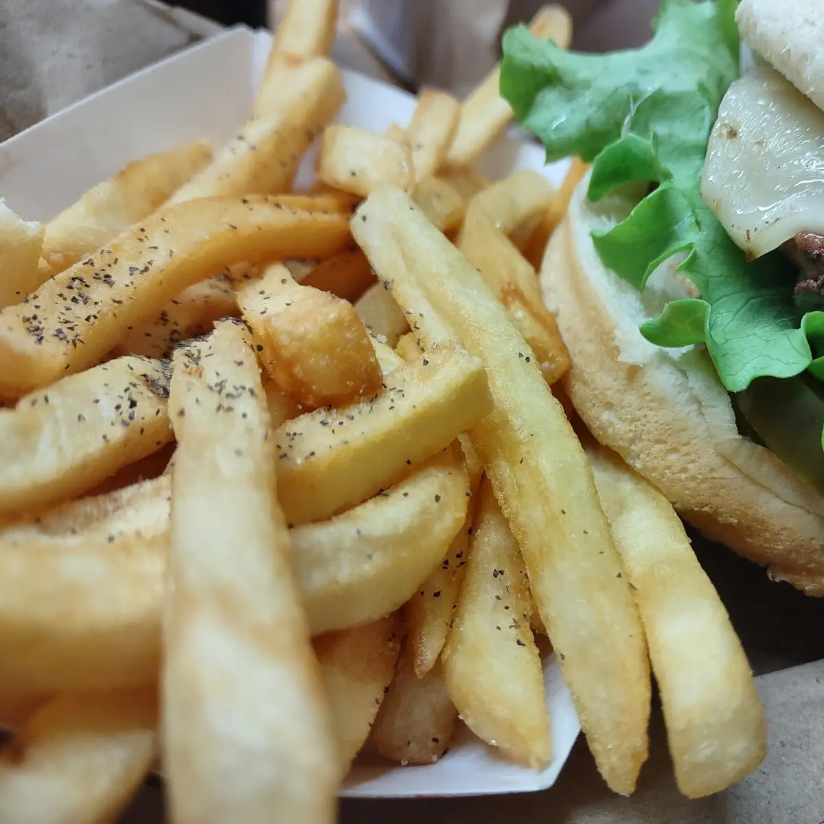 Cheese Burger and Fries