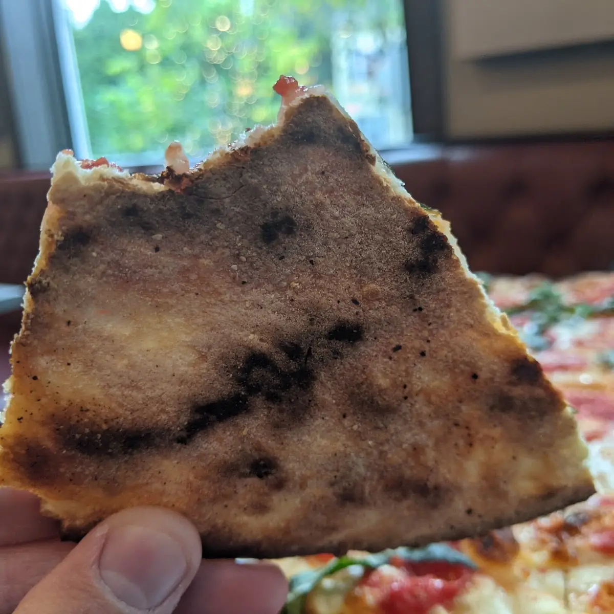 Pizza Crust