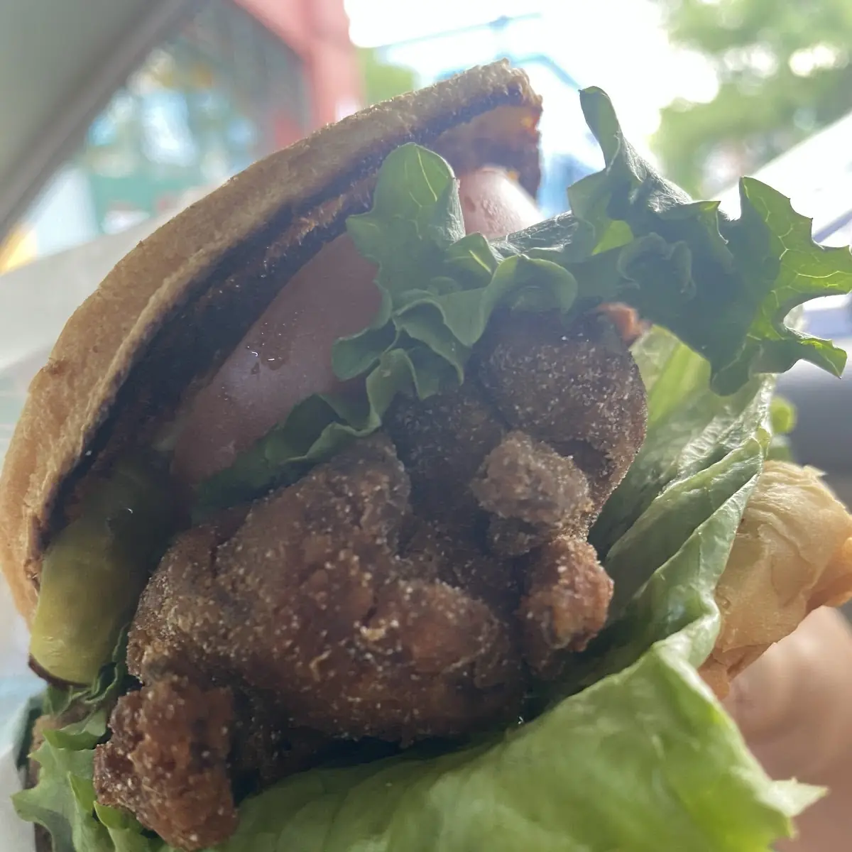 Chicken Sandwich with Extra Lettuce