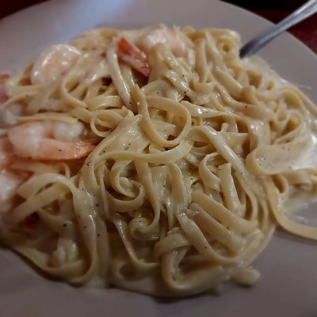 Shrimp Alfredo