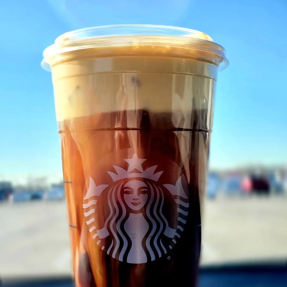 Pumpkin Cream Cold Brew