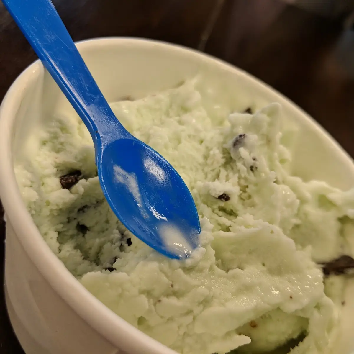 Mint Chocolate Chip