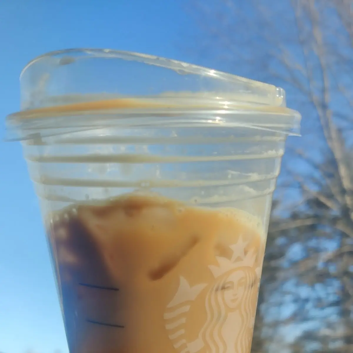 Cold Foam Cold Brew