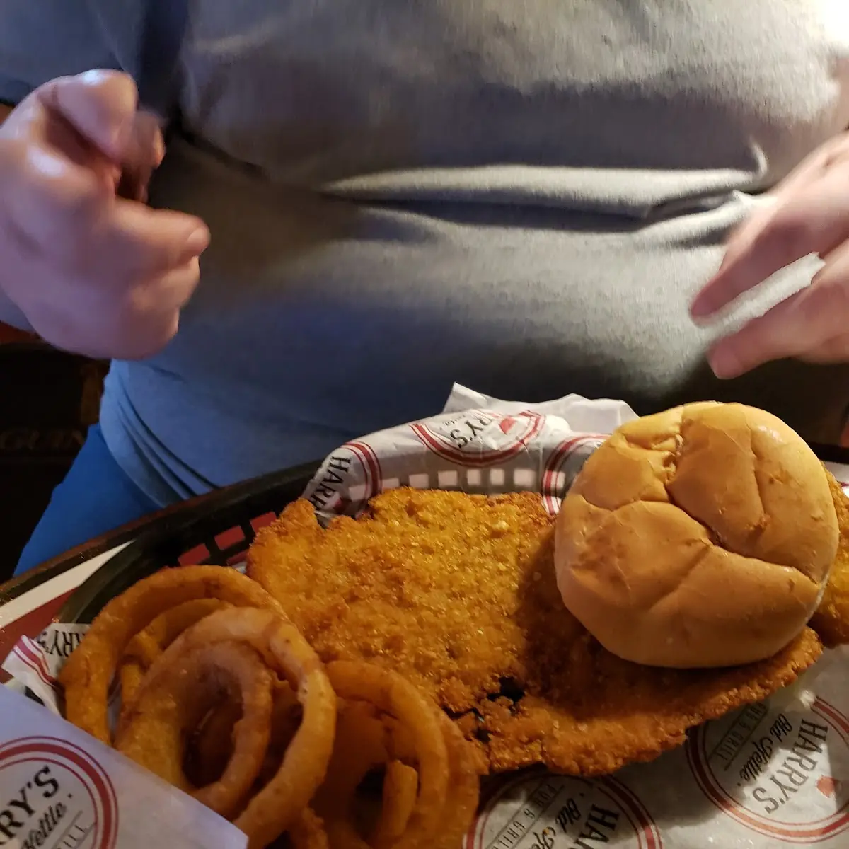Breaded Tenderloin Sandwich and Onion Rings