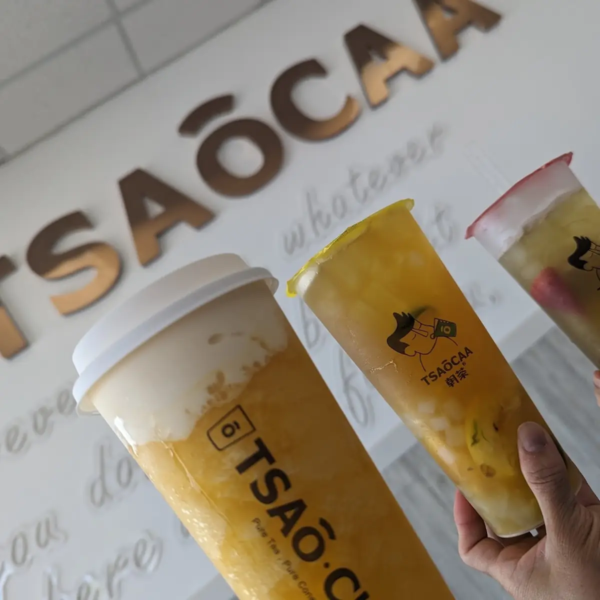 Fruit Tea and Foam Tea