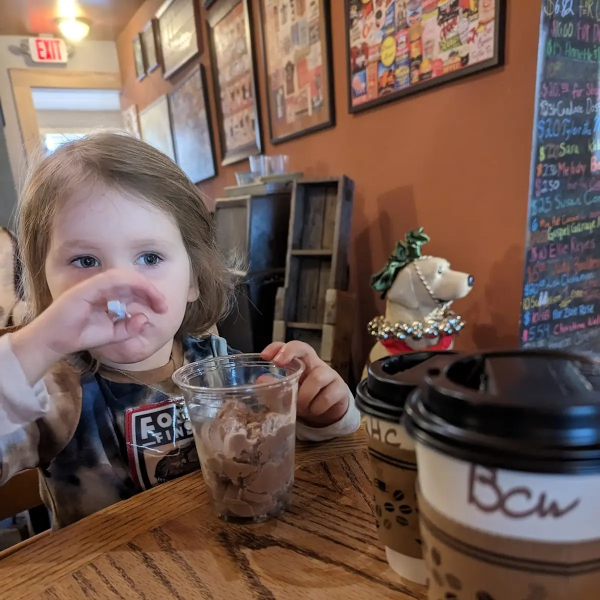 Chocolate Ice Cream