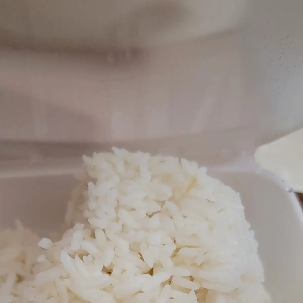 White Rice