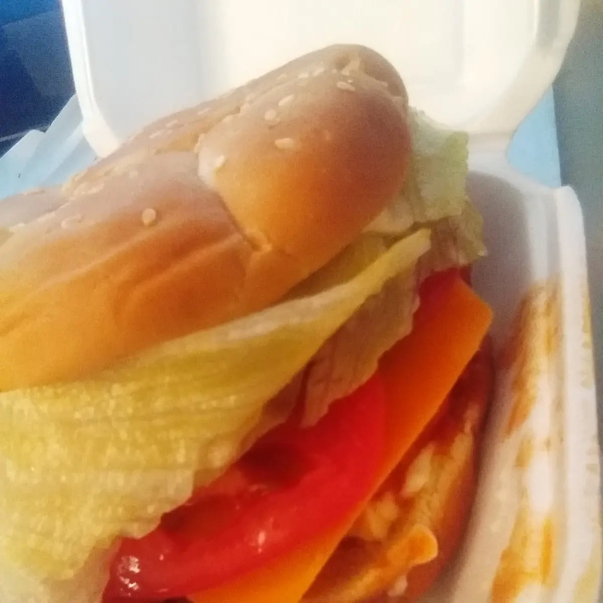 Zesty Chicken Sandwich