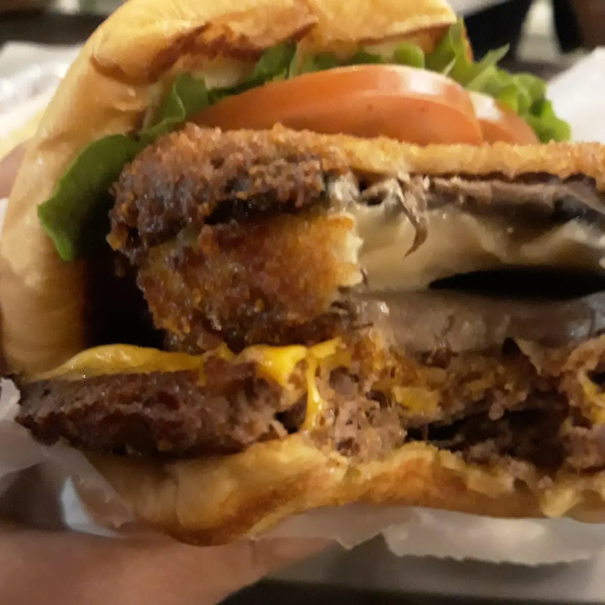Mushroom Burger
