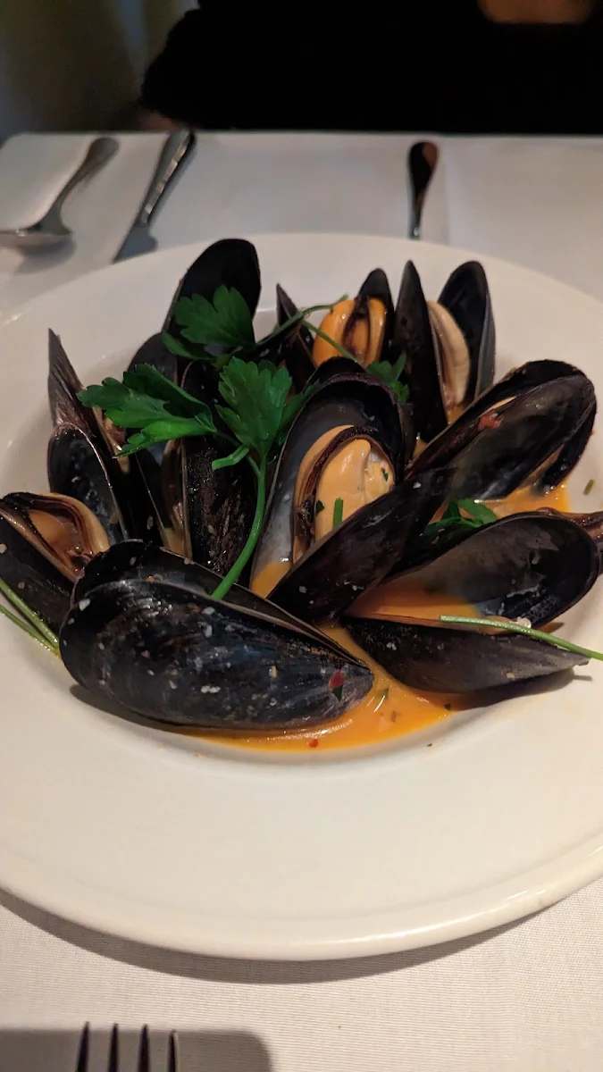 Mussels