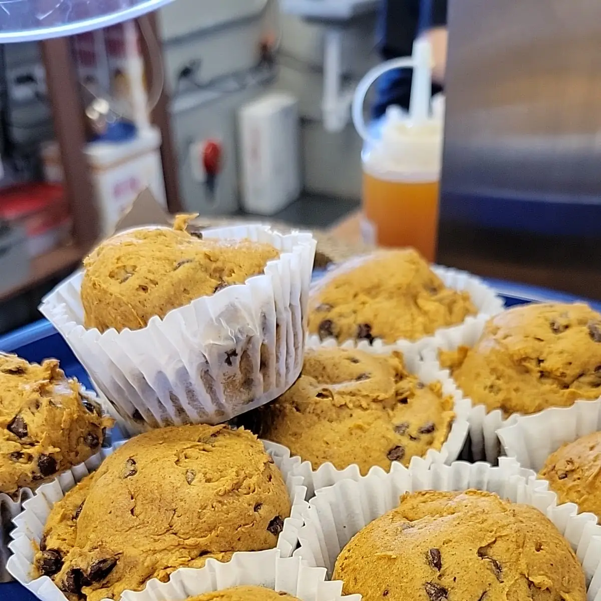 Chocolate Chip Pumpkin Spice Muffins