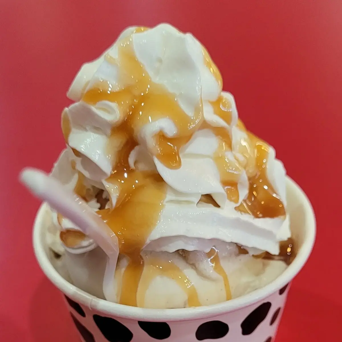 Apple Pie a La Moo