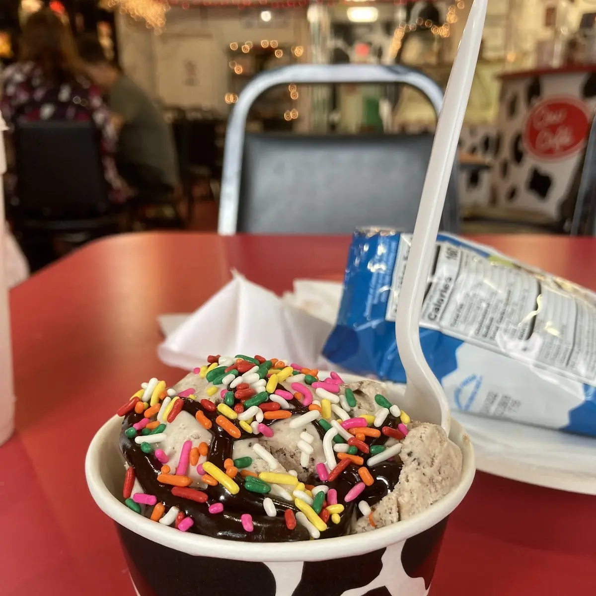 Chocolate Ice Cream Sundae