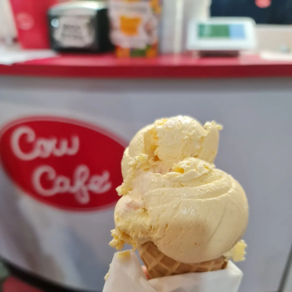 Vanilla Ice Cream