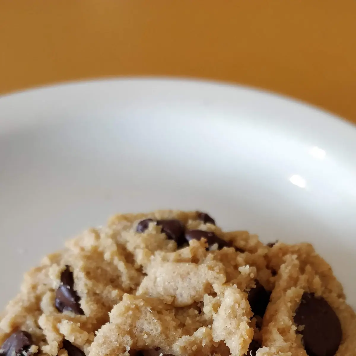 Peanut Butter Chocolate Chip Cookie