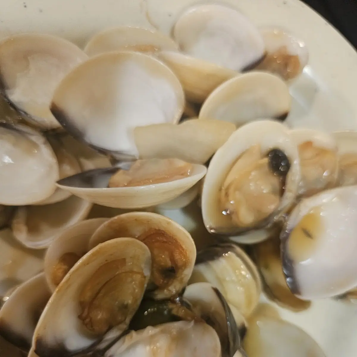 Steamed Clams