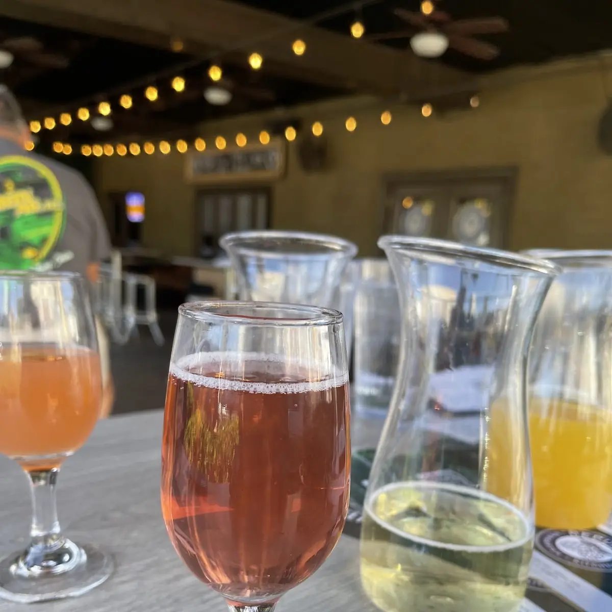 Mimosa Flight