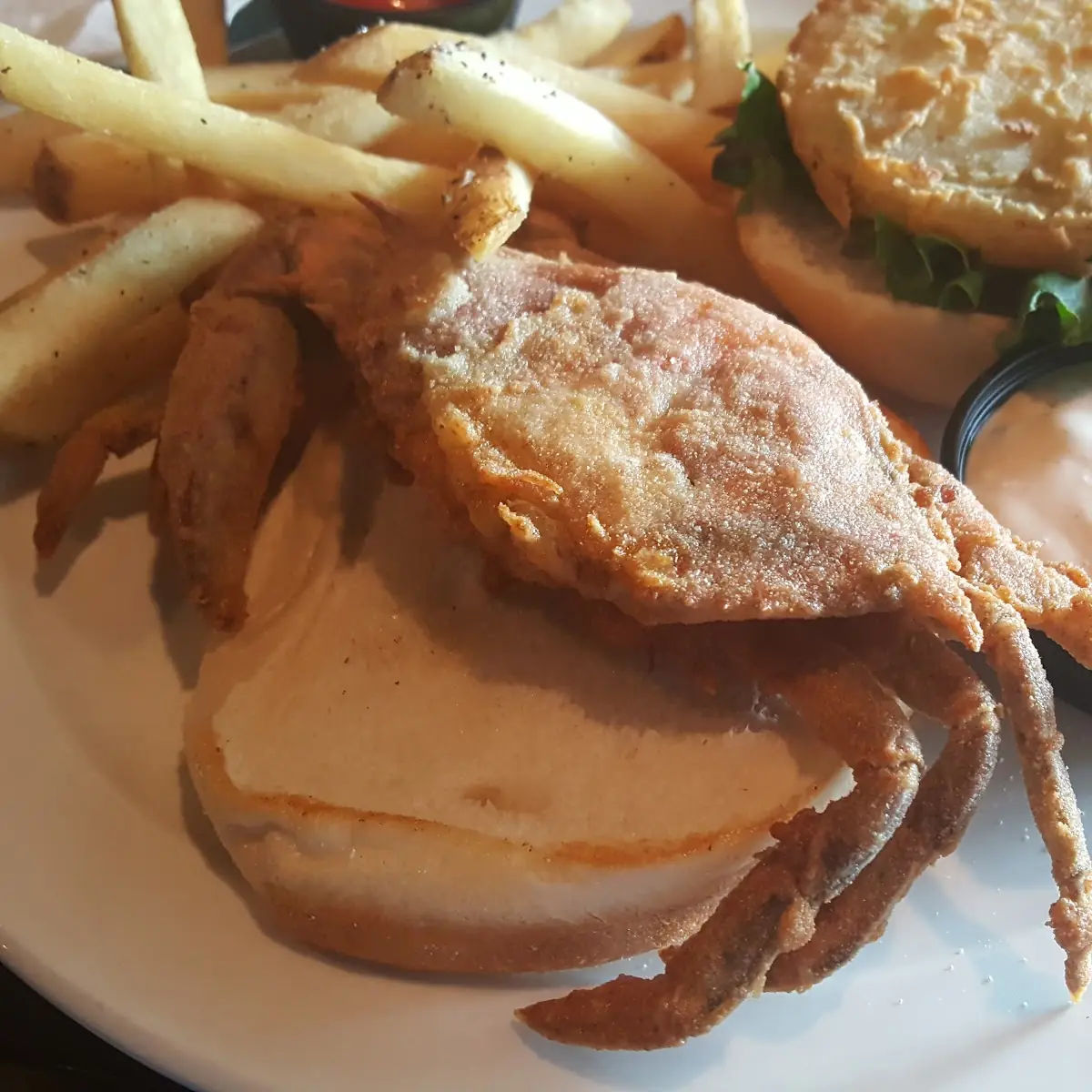 Taylor's Crab Cakes